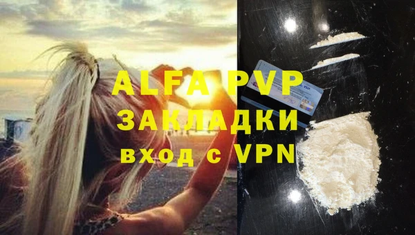 твердый Арсеньев