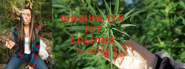 спайс Аркадак
